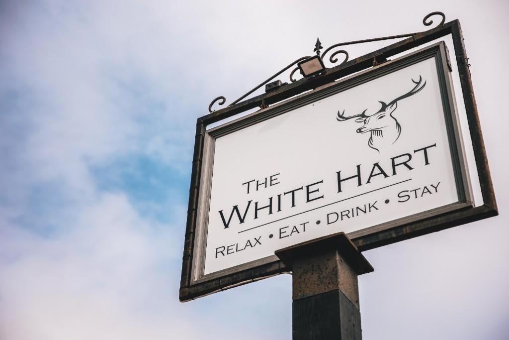 Hotel The White Hart Wilmington Honiton Exteriér fotografie